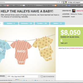 Haleys